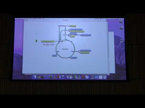 Lecture #29 Ahern's BB 451 - Citric Acid Cycle I