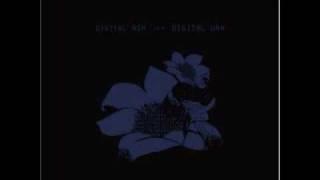 Bright Eyes - Easy Lucky Free - 12 (lyrics in the description)