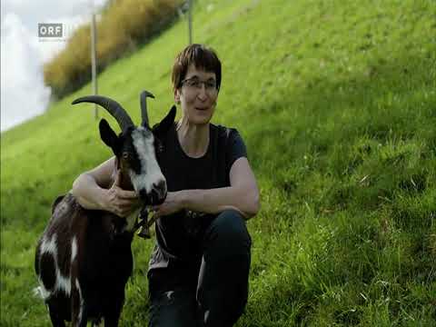 Heimat Österreich - Rund ums Höllengebirge
