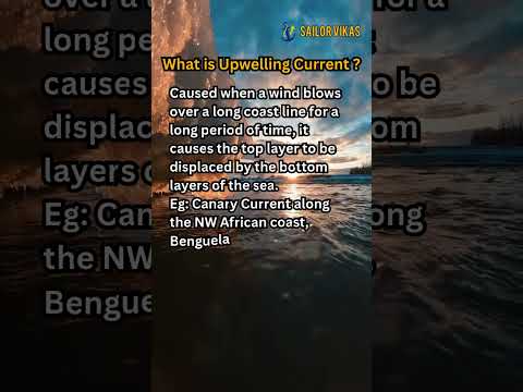 What is Upwelling Current? 🌊 | Ocean Currents Explained 🚢 #shorts