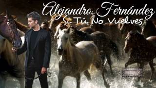 Alejandro Fernández (Si Tú No Vuelves)