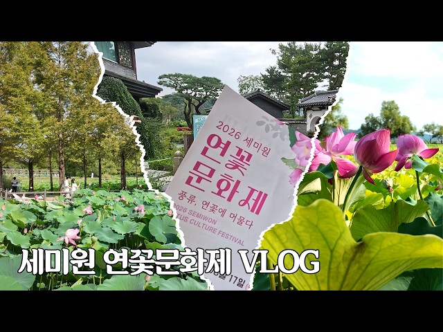세미원 연꽃문화제 YouTube 영상 썸네일