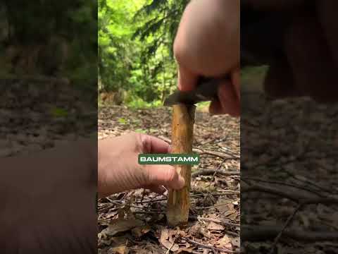 Bushcraft Knife Review: Odenwolf Ambulo #bushcraftknife #outdoorknife #hiking #wilderness #camping