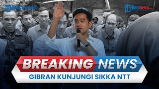 BREAKING NEWS: Wapres Gibran Kunjungi Sikka NTT, Para Siswa Rela Tunggu dari Pagi di Sawah