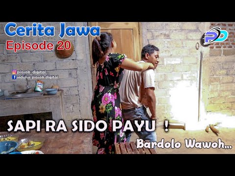musoh-wong-budek-eps-20-sapi-ra-sido-payu-bardolo-wawoh-cerita-jawa