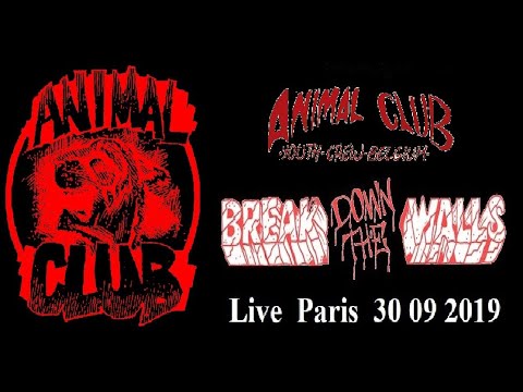 ANIMAL CLUB (Belgium)  Live Paris 28 09 2019