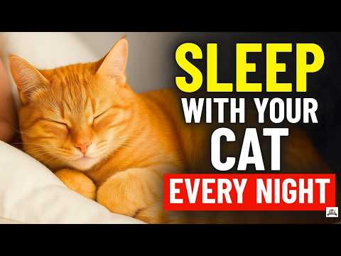 This Is What Happens To You When You Let Your Cat Sleep With You Every Night