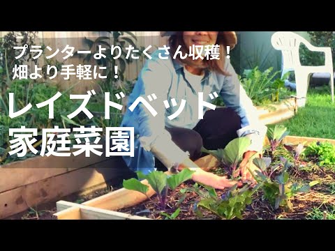 家庭菜園:狭い面積でたくさん収穫 トピックス