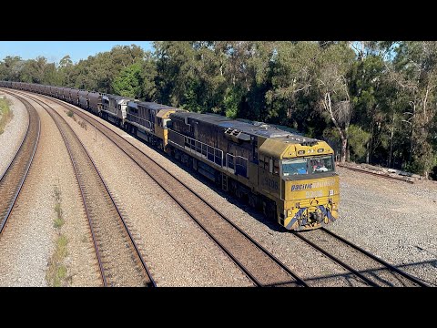 Pacific National 9206, LDP001 & LDP004 at East Maitland - 28/5/24