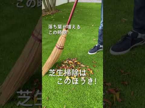 庭の枯れ葉をどう活用するか？それらを分解するためのヒントとテクニック  庭園