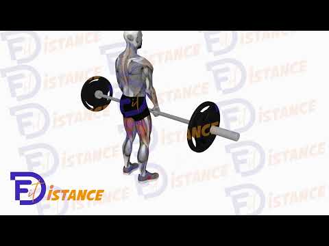 Exercice Soulevé de terre pieds serrés avec barre