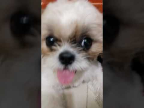 T i mawalan ng timbang Kung paano alisin ang taba mula sa mukha sa bulwagan
