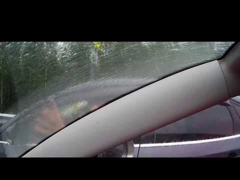 Агрессивный обочечник