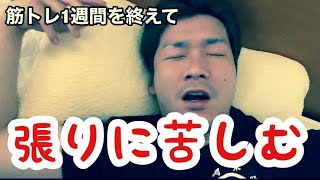 【筋トレ】ベル坊の肉体改造計画#2