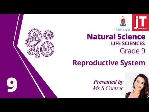 Klasse 9 NS - Lebenswissenschaften - Fortpflanzung