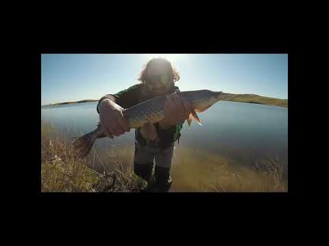 Cheap Fishing Dollarama Lures That Work! ?? ?