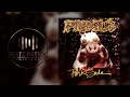 Primus Wounded Knee 432hz
