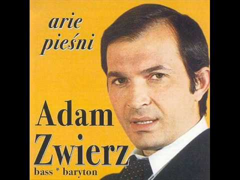 Pędzą dzwonią sanie