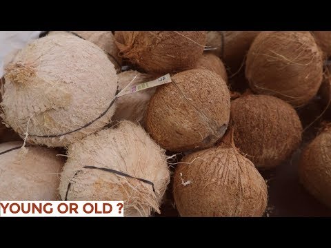 How to choose the right coconut