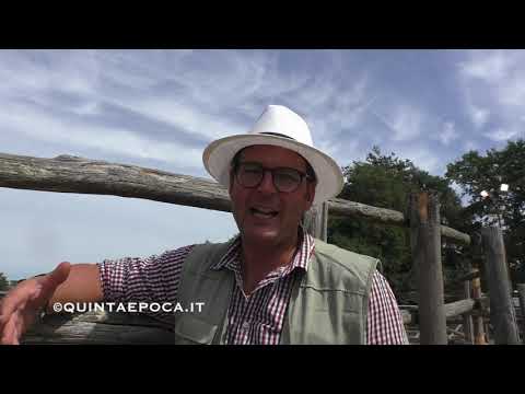 Cavallo Maremmano, intervista a Sergio Marcoaldi.