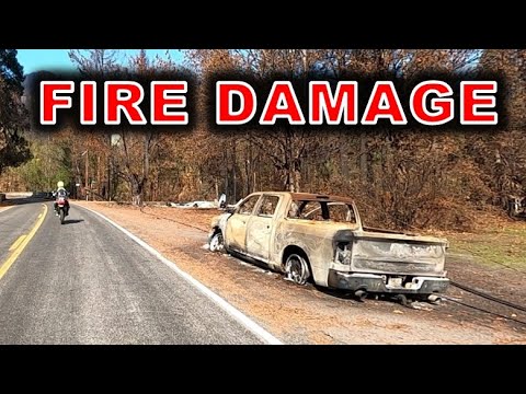 HOLIDAY FARM FIRE DEVASTATION- Blue River, Nimrod,...