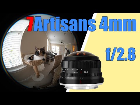 Video thumbnail for Video Review 2