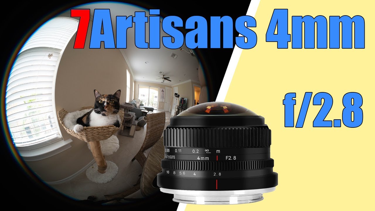Video thumbnail for Video Review 2