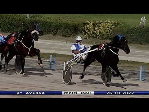 Aversa trotto 26 Ottobre 2022 - 2° Corsa