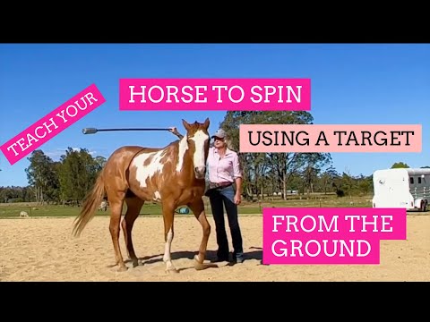 HOW TO TEACH YOUR HORSE TO SPIN from the ground, USING a stick 🎯 TARGET