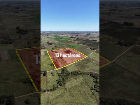 Campo en Migues 13 hectareas, Canelones