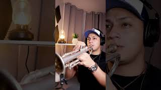 Download lagu @TimmyTrumpetTV #narco #tomorrowland #trumpet #trumpetplayers #viralsong #viralshorts #trumpetvine mp3