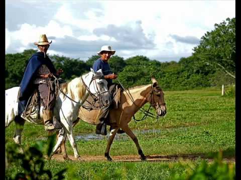 El Cazador Novato - Rafael Martinez