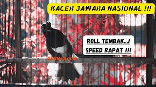 Download lagu OCEHAN KACER TOP, GACOR DORRR ll JUARA FULL MATERI MEWAH 2021 !!! mp3 Download lagu OCEHAN KACER TOP, GACOR DORRR ll JUARA FULL MATERI MEWAH 2021 !!! mp3