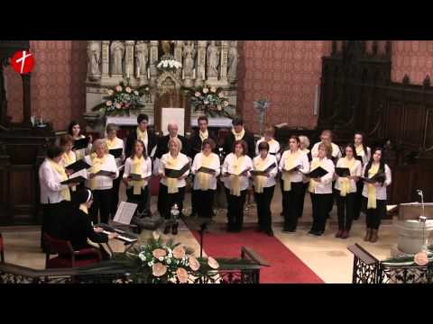 O Bože nisam vrijedan - Zbor župe Presvetog Trojstva iz Novog Travnika