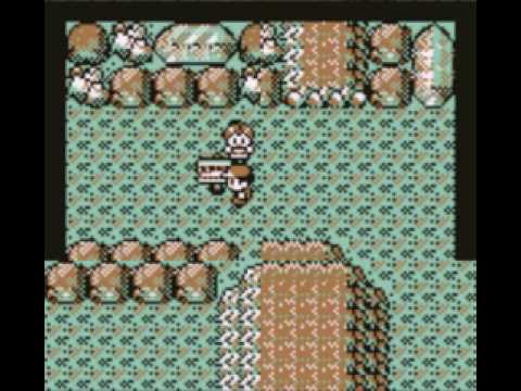 Pokemon Brown Walkthrough Part 3