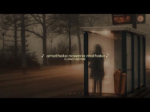 අමතක නොවෙනා මතක // slowed and reverb
