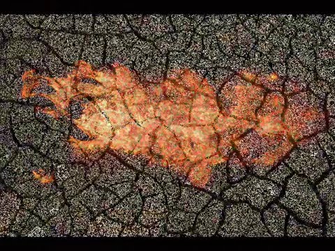 Nektarina Evergreen 1