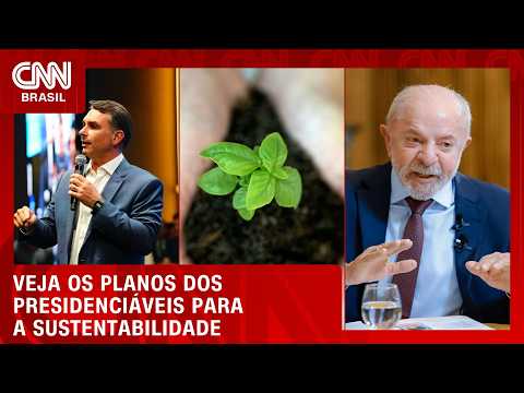 Sustentabilidade: o que Flávio Bolsonaro e Lula propõem | CNN AGRO NEWS