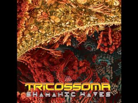 Twisted Temple - Tricossoma