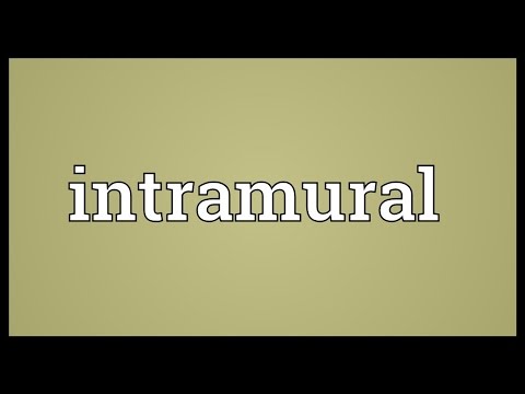 Intramural Meaning