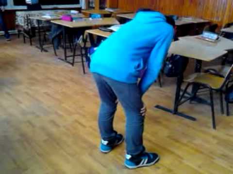 capra la scoala timisesti