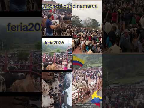 feria de Choachi Cundinamarca Colombia 🇨🇴 #comederocasero #ganaderia #vacas #ganadero #fincas