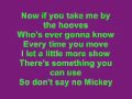 Hey Mickey Lyrics