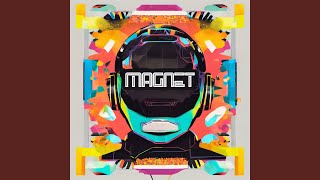 Magnet