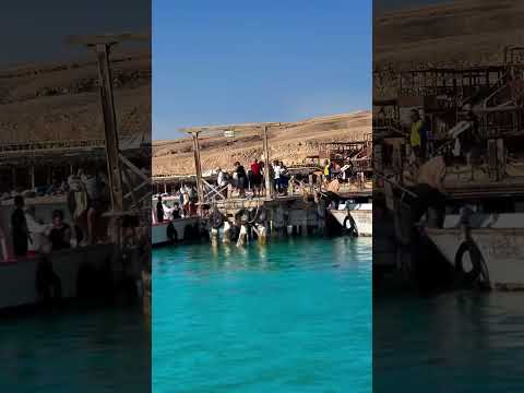 Sunset Desert Experience – Hurghada Night Safari