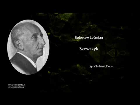 Bolesław Leśmian - Szewczyk