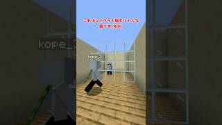 【マイクラ】最もリアルな鏡