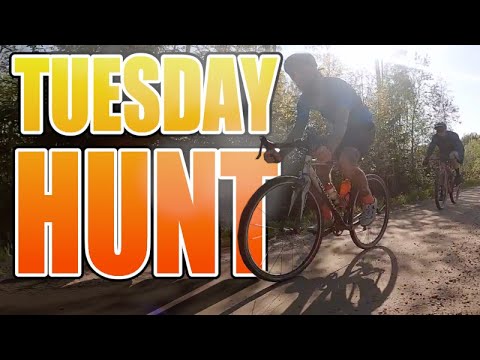 Arki-illan gravel-huntti