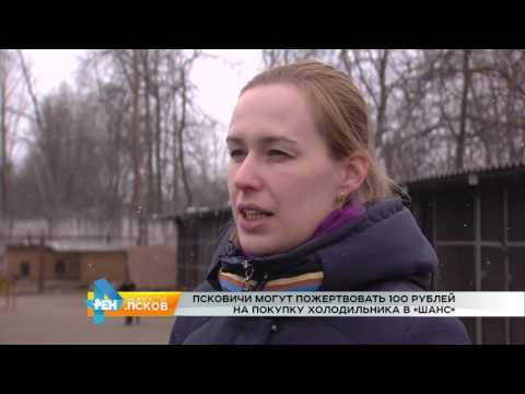 Новости Псков 27.03.2017 # Новый морозильник для АНЗО Шанс