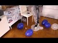 Girl Sit To Pop Balloon